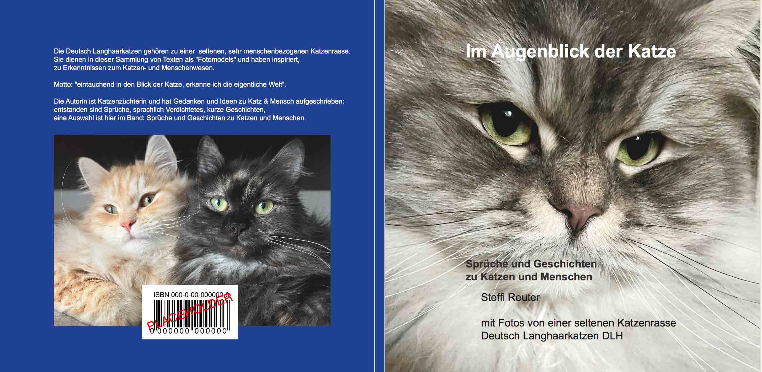 Buch Im Augenblick der Katze
